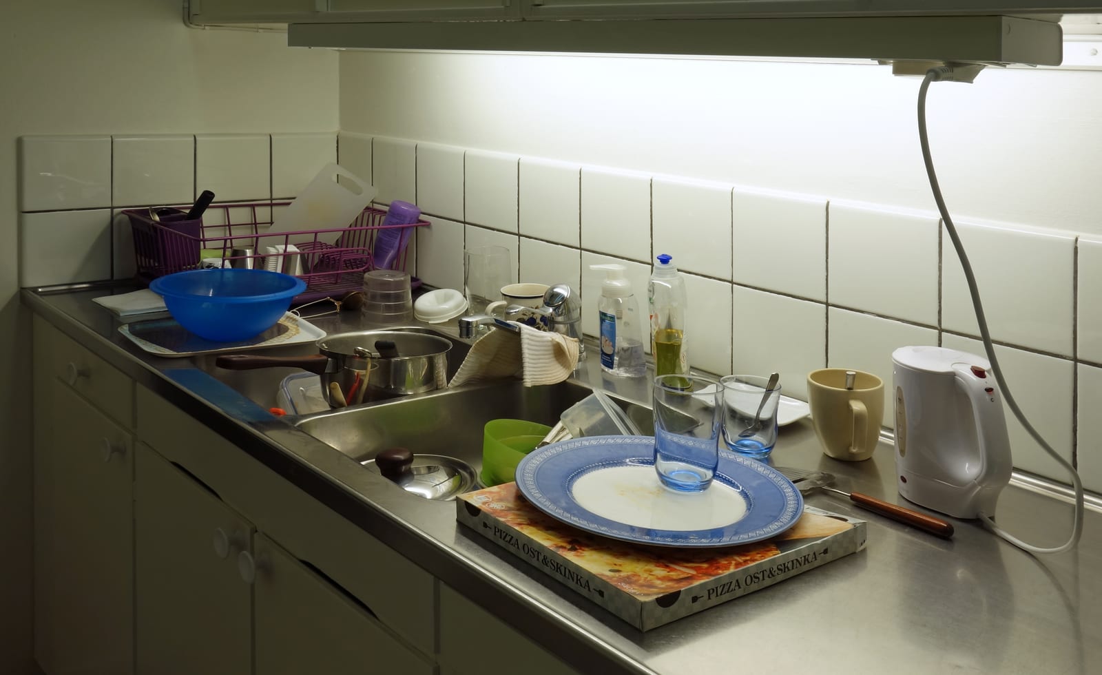 Cozinha com lava-louça e loiça, contexto comum de avistamentos.